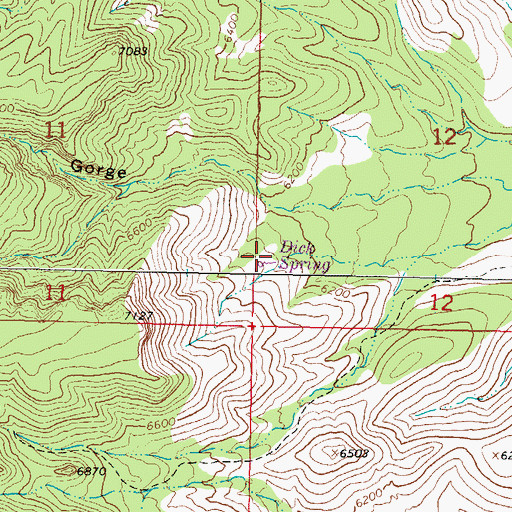 Topographic Map of Dick Spring, NM