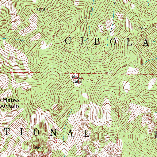 Topographic Map of Myers Cabin, NM