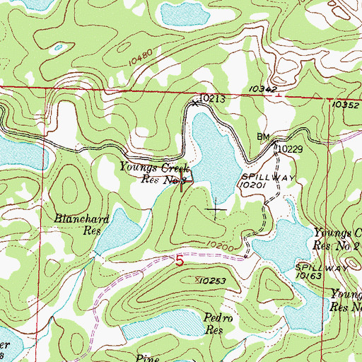 Topographic Map of Youngs Creek Number 3 Dam, CO