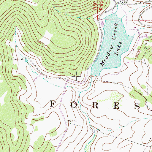 Topographic Map of Meadow Creek Dam, CO