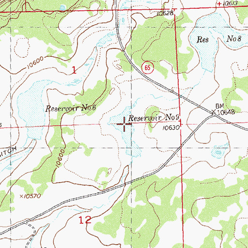 Topographic Map of Grand Mesa Reservoir Number 9, CO