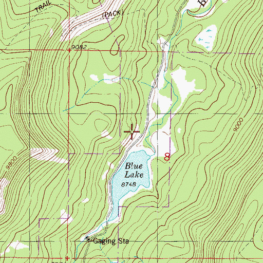 Topographic Map of Black Creek Dam, CO