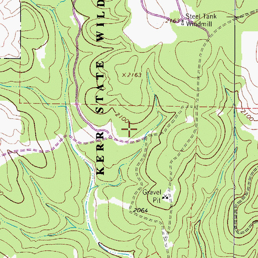 Topographic Map of Fish and Wildlife Springs, TX