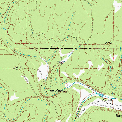 Topographic Map of Iona Springs, TX