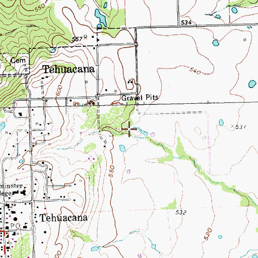 Topographic Map of Tehuacana Spring, TX