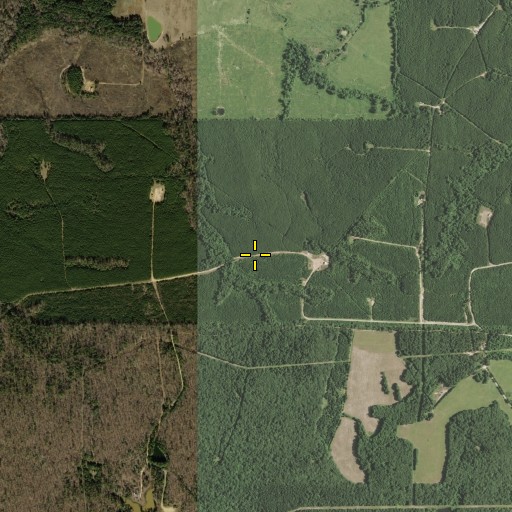 Aerial/Satellite Image of Coushatta Spring, TX