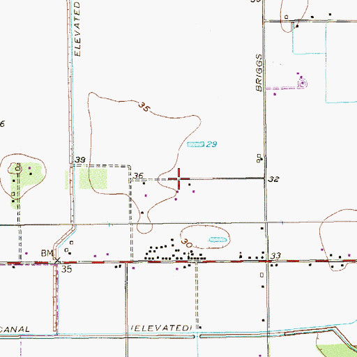 Topographic Map of Lasana Colonia, TX