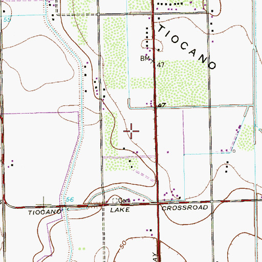 Topographic Map of Aurora Longoria Colonia, TX