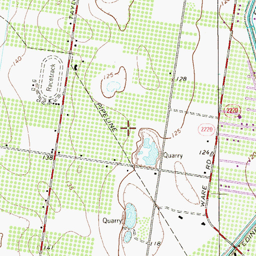 Topographic Map of Newkirk Colonia, TX