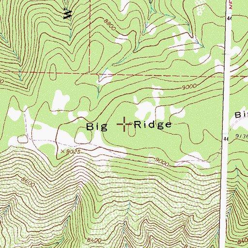 Topographic Map of Big Ridge, CO
