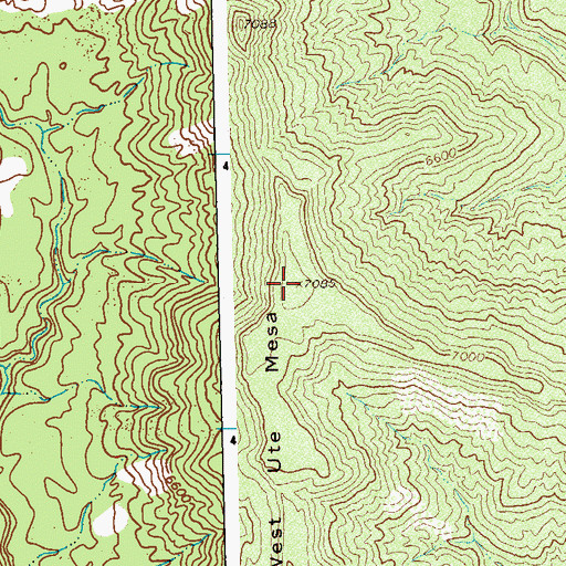Topographic Map of West Ute Mesa, CO