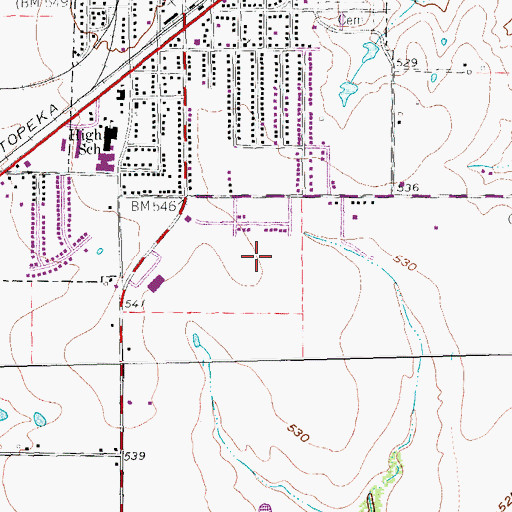 Topographic Map of Pirate Field, TX