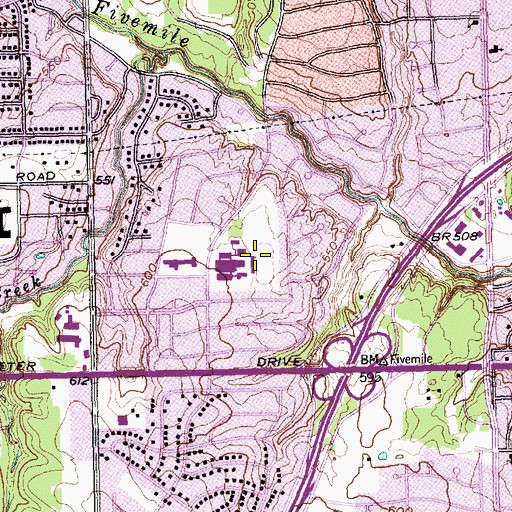Topographic Map of Falcon Field, TX