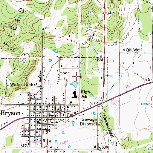 Topographic Map of Cowboy Field, TX