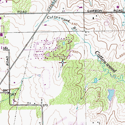 Topographic Map of Stardust Park, TX