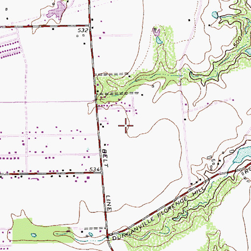 Topographic Map of Parkhill Park, TX