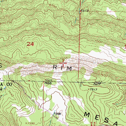 Topographic Map of Carracas Rim, CO