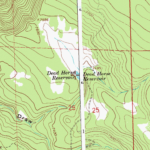 Topographic Map of Dead Horse Reservoir, CO