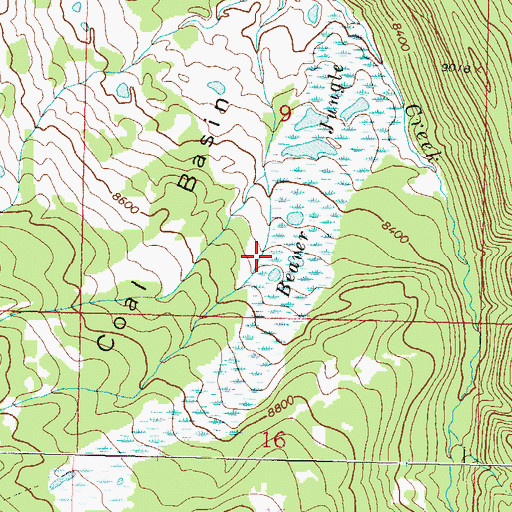 Topographic Map of Beaver Jungle, CO