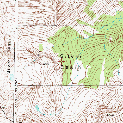 Topographic Map of Silver Basin, CO