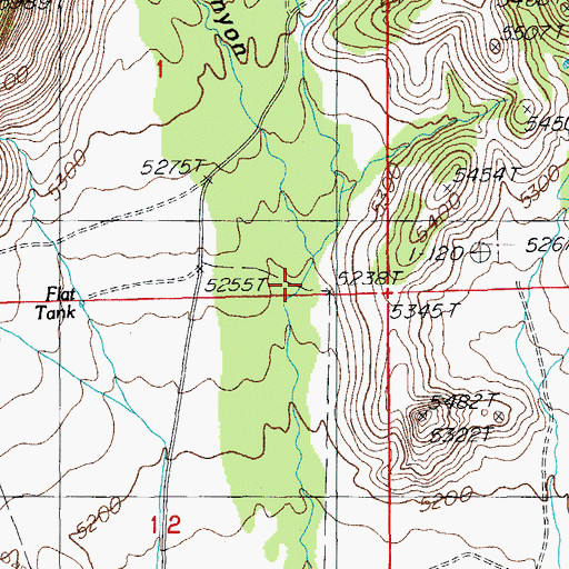 Topographic Map of Brushy Canyon, AZ