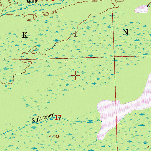 Topographic Map of Delirium Wilderness, MI