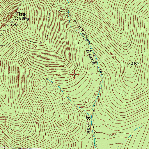 Topographic Map of Pemigewasset Wilderness, NH