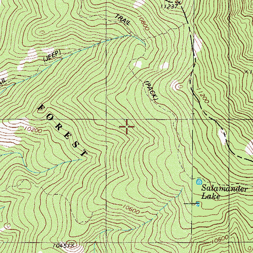 Topographic Map of Simmons Peak Trail, CO