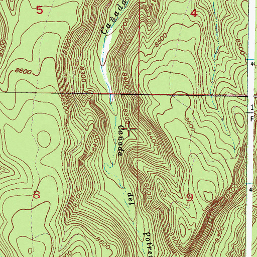 Topographic Map of Upper Potrero Spring, NM
