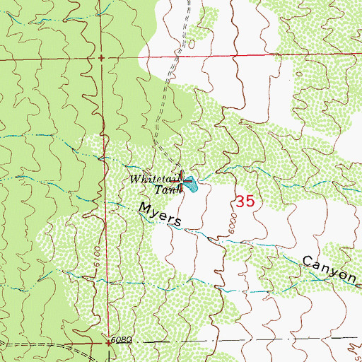 Topographic Map of Blacktail Tank, NM