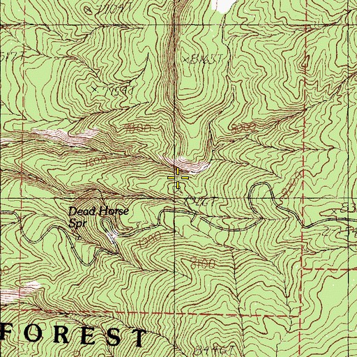 Topographic Map of Cedar Spring, NM