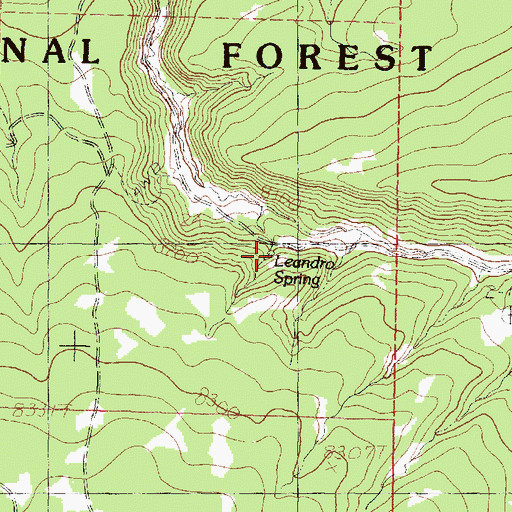 Topographic Map of Leandro Spring, NM