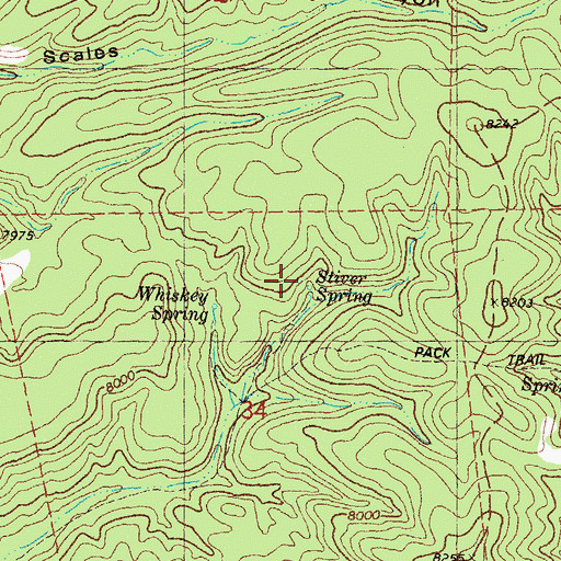 Topographic Map of Stiver Spring, NM