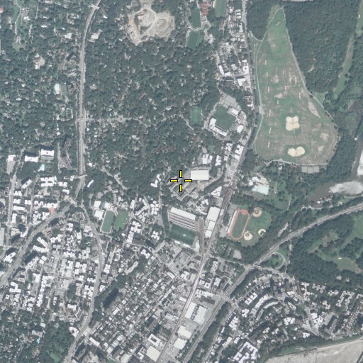 Aerial/Satellite Image of Chrysostom, NY