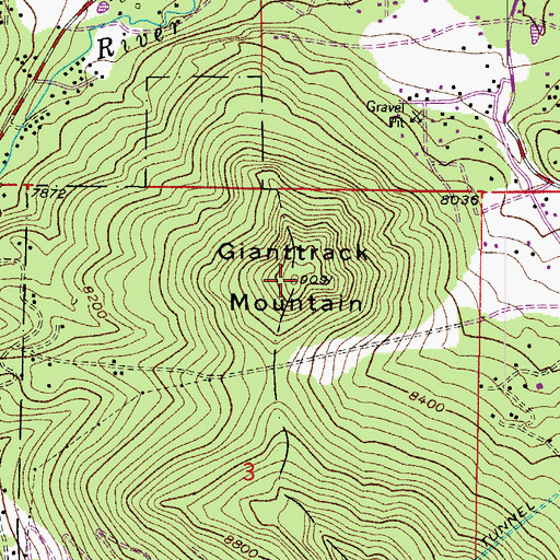 Topographic Map of Gianttrack Mountain, CO