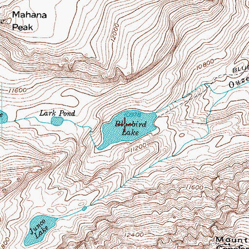 Topographic Map of Bluebird Lake, CO