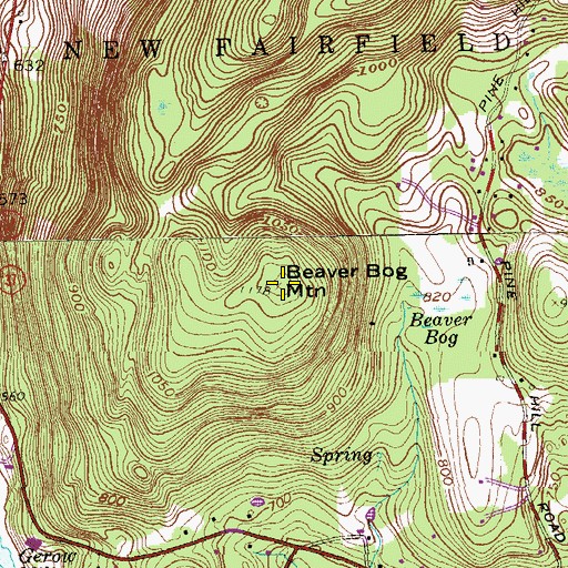 Topographic Map of Beaver Bog Mountain, CT