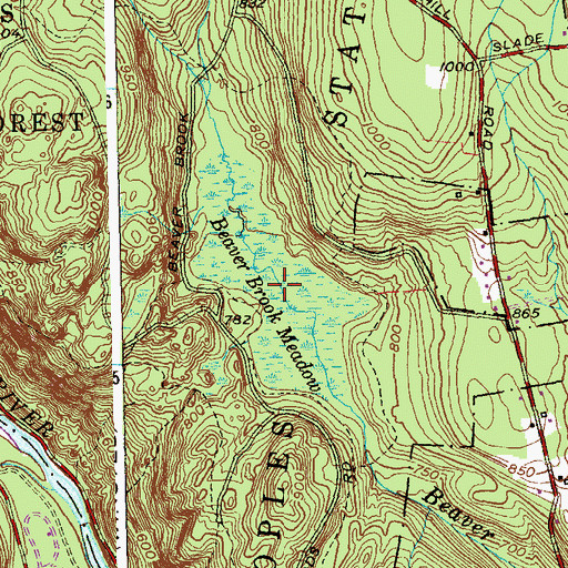 Topographic Map of Beaver Brook Meadow, CT