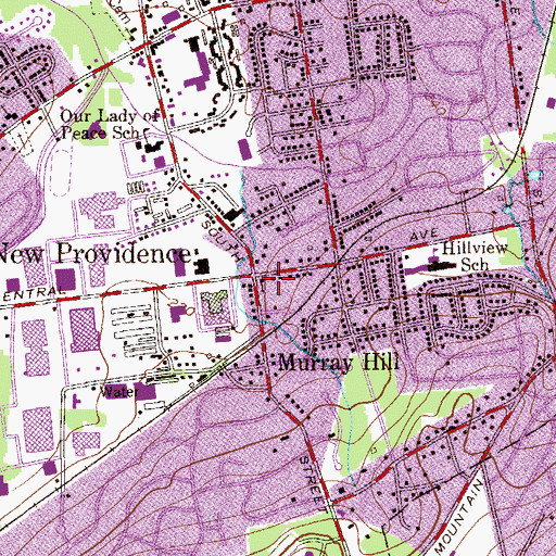 Topographic Map of Saint Lukes Reformed Episcopal Church, NJ
