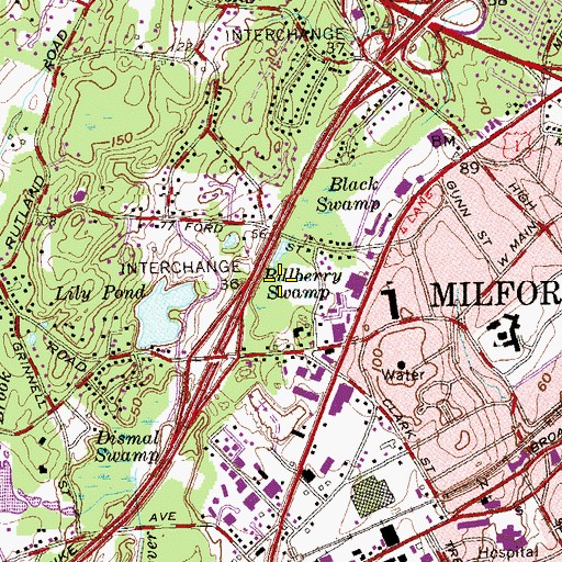 Topographic Map of Billberry Swamp, CT
