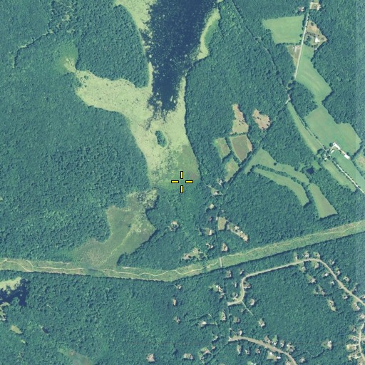 Aerial/Satellite Image of Bishop Swamp, CT