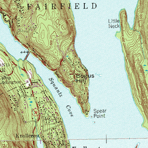 Topographic Map of Bogus Hill, CT
