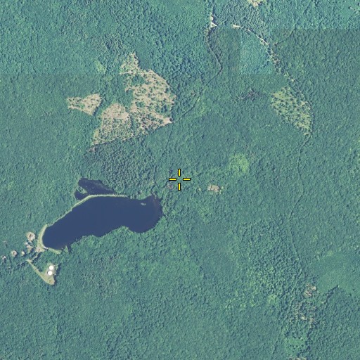 Aerial/Satellite Image of Buck Brook, CT