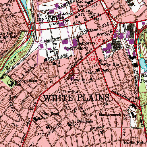 Topographic Map of White Plains Hospital, NY