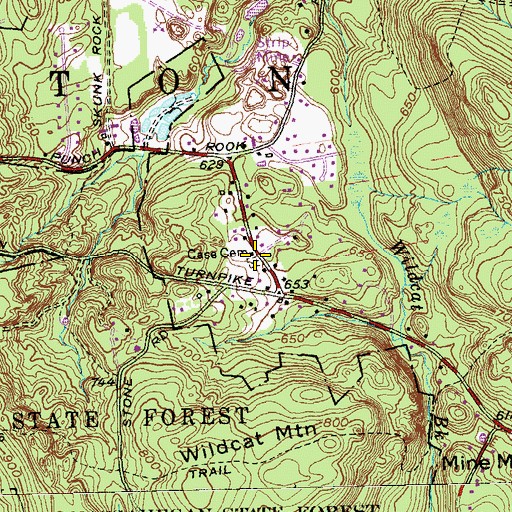 Topographic Map of Case Cemetery, CT