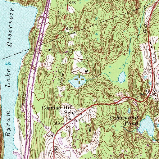 Topographic Map of Davis Pond, NY