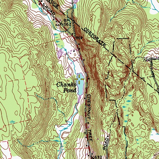 Topographic Map of Chanko Pond, CT