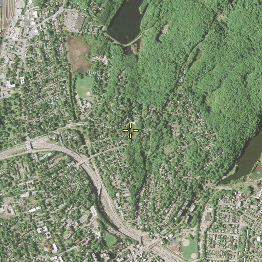 Aerial/Satellite Image of Todds Pond, NY