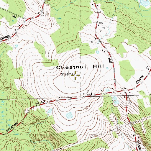 Topographic Map of Chestnut Hill, CT