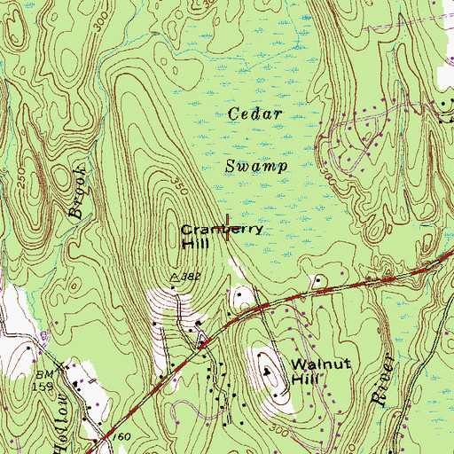 Topographic Map of Cranberry Hill, CT
